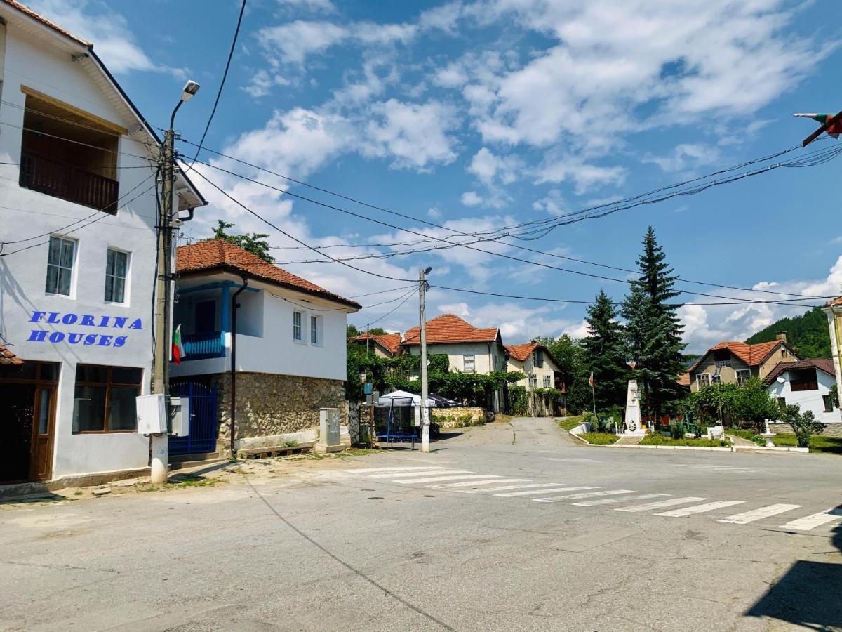 Цяла Ваканционна Къща- Florina Houses Goranovtsi Buitenkant foto